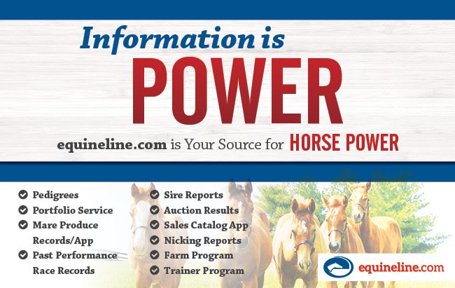 Equineline (Information is Power) 7-27-24