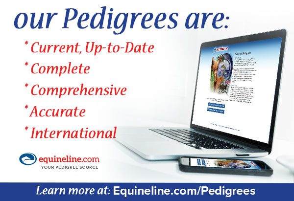Equineline (Our Pedigrees) 7-6-24