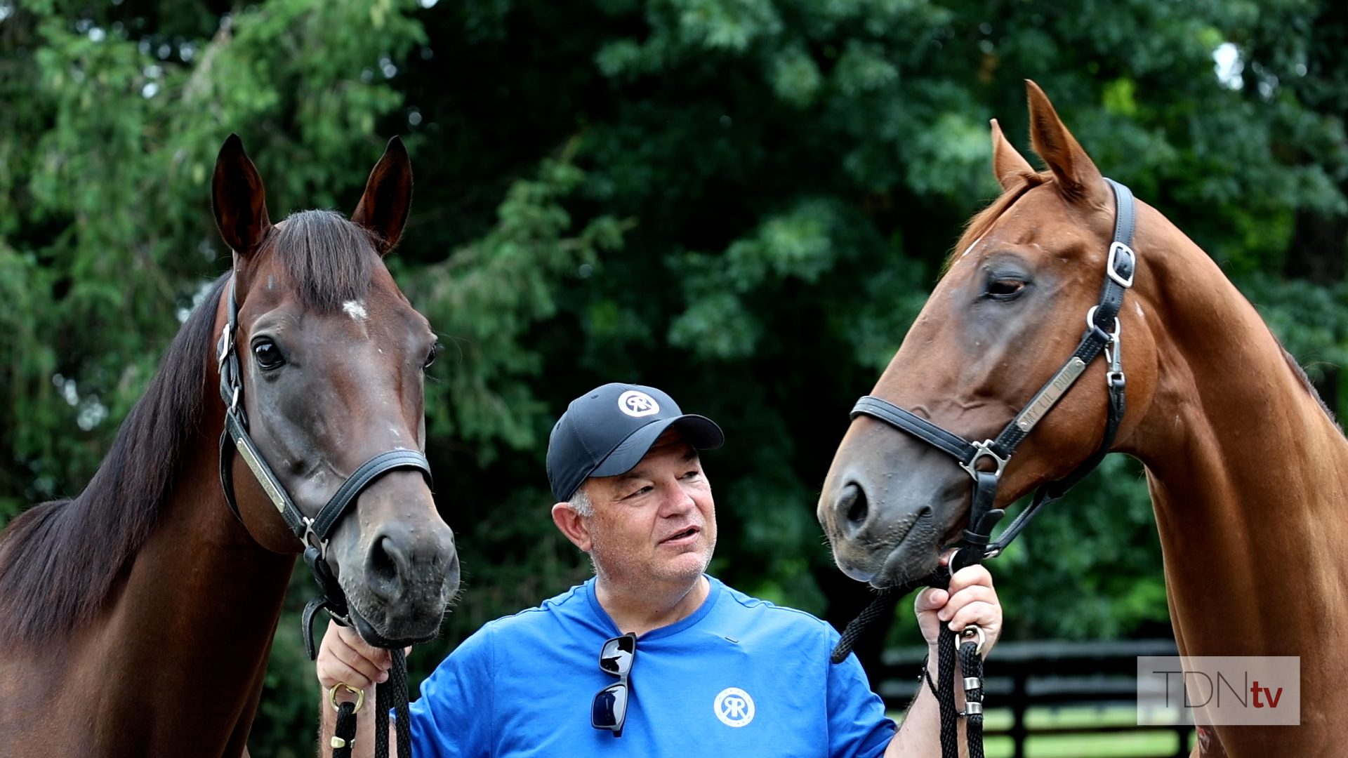 After Saving Two Horses from a Kill Pen, Stewart Talks About America's Slaughter Problem