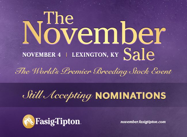 Fasig-Tipton (November Sale) 20.08.24