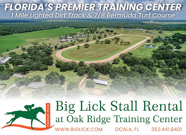 Big Lick Stall Rental – 9-28-24