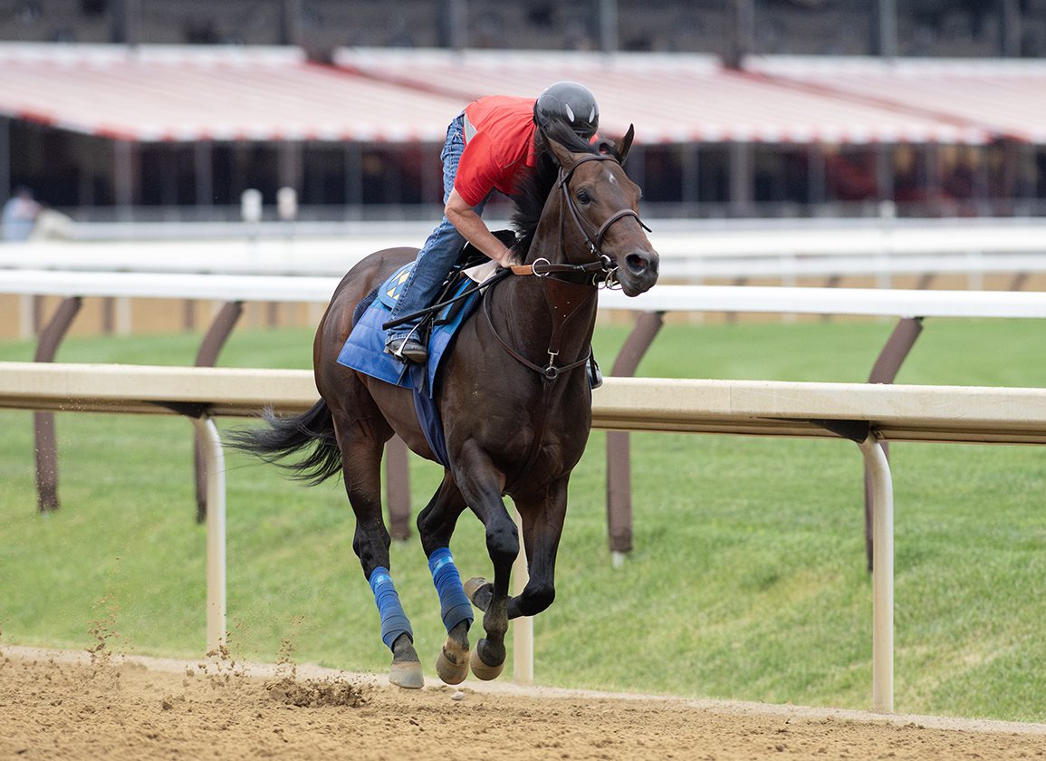 Saratoga Notebook, Presented by NYRA Bets: Baffert Expects Good Showing from Prince of Monaco in Jerkens