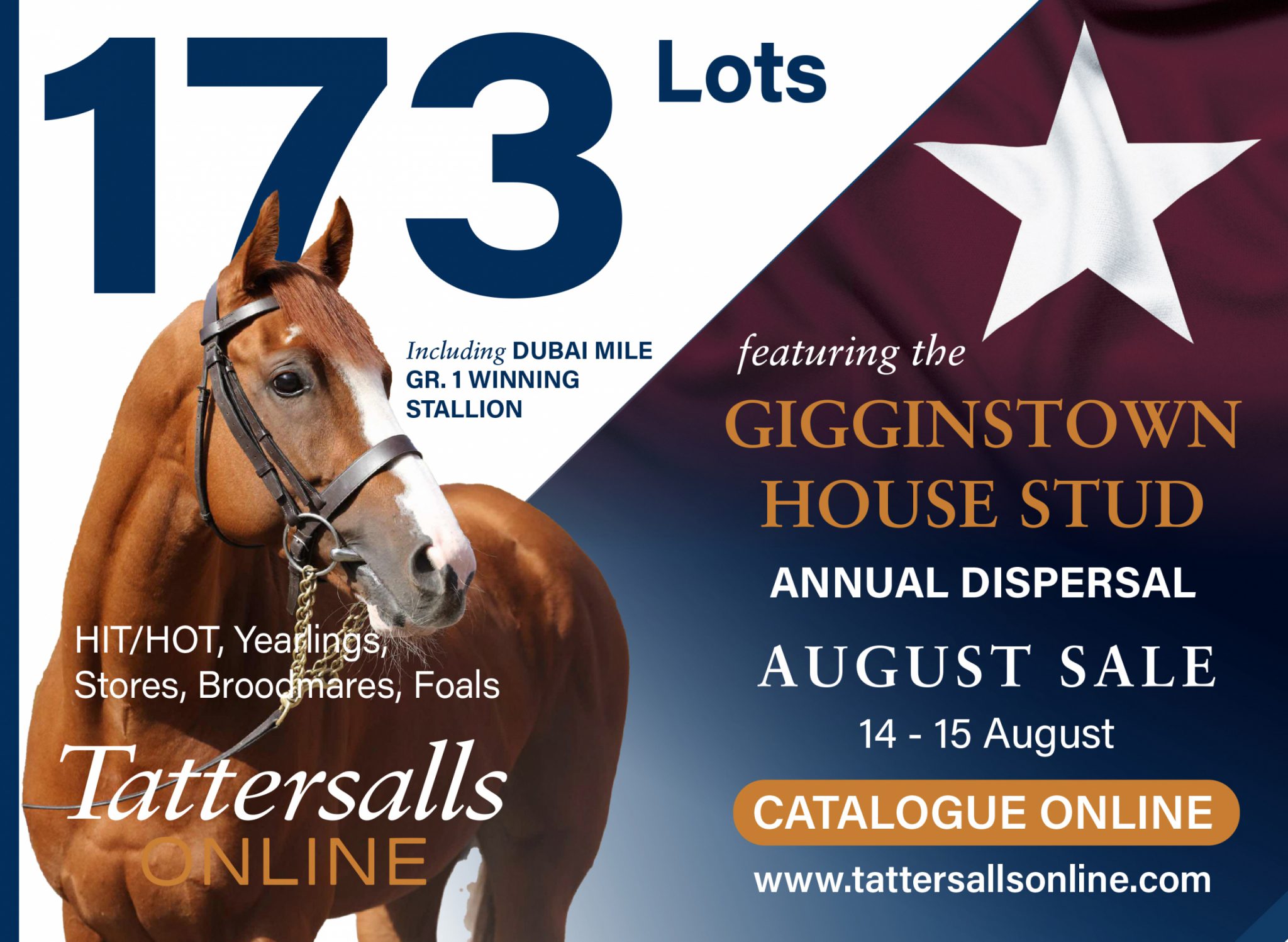 Tattersalls Online interstitial – 8/12/24