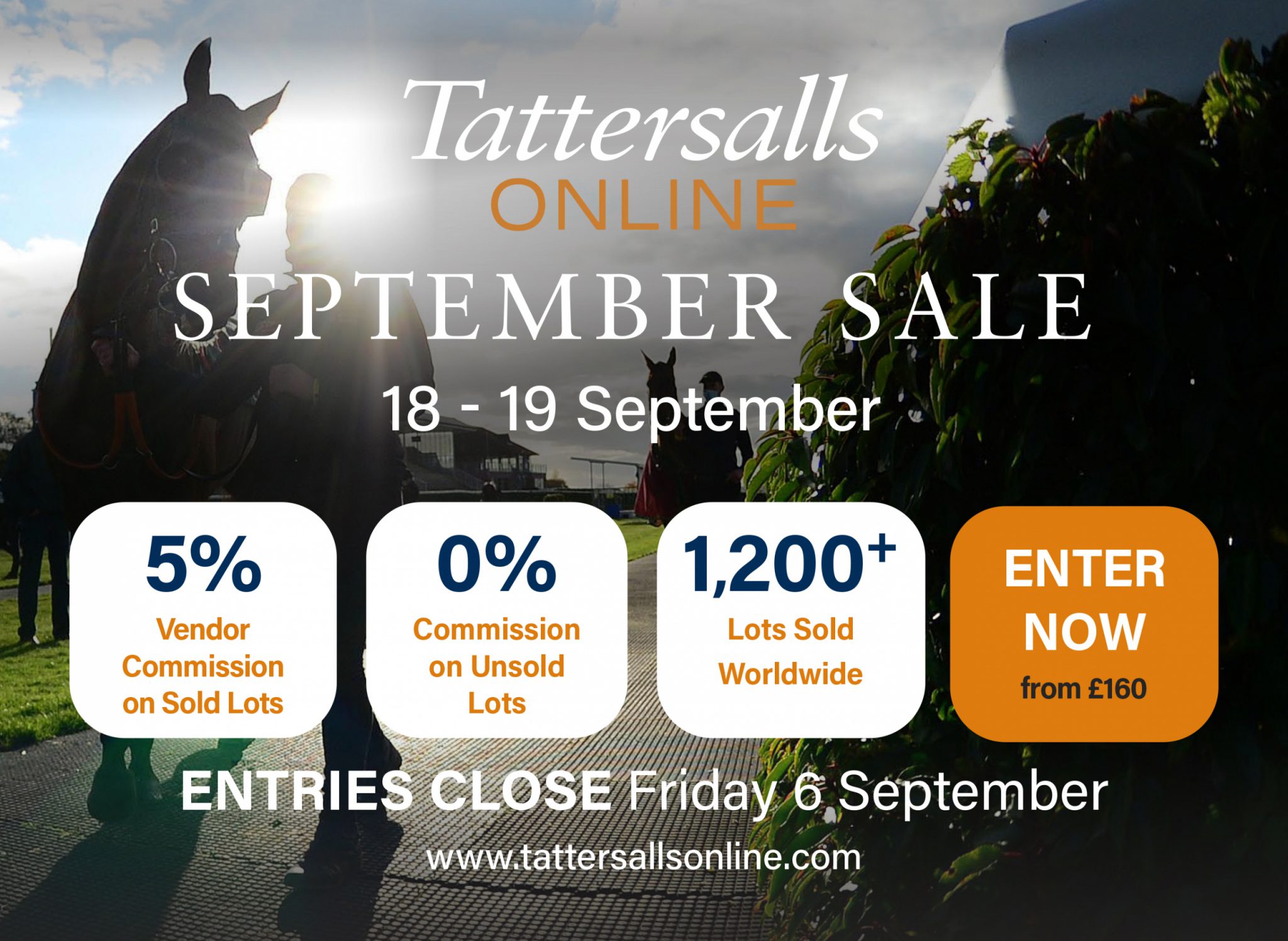 Tattersalls Online interstitial – 8/16/24