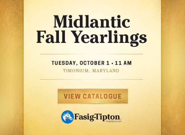 Fasig Tipton Midlantic 9/24/24