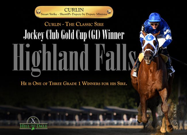 Hill n Dale – Curlin 9/5/24