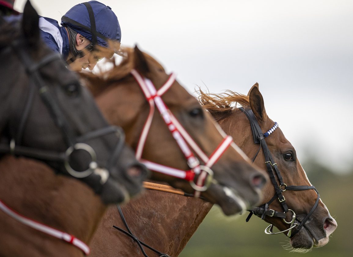 Ireland’s 2025 Fixture List Remains At 395 Meetings