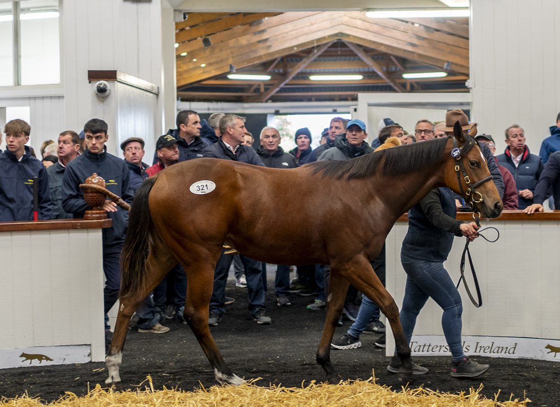 Respectable Trade At Tattersalls Ireland As 180k Mehmas Leads The Way