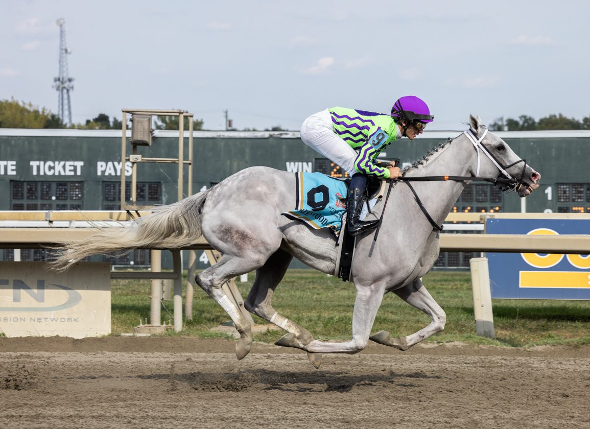 The Power Of Next Could Not Be Undone In Greenwood Cup At Parx