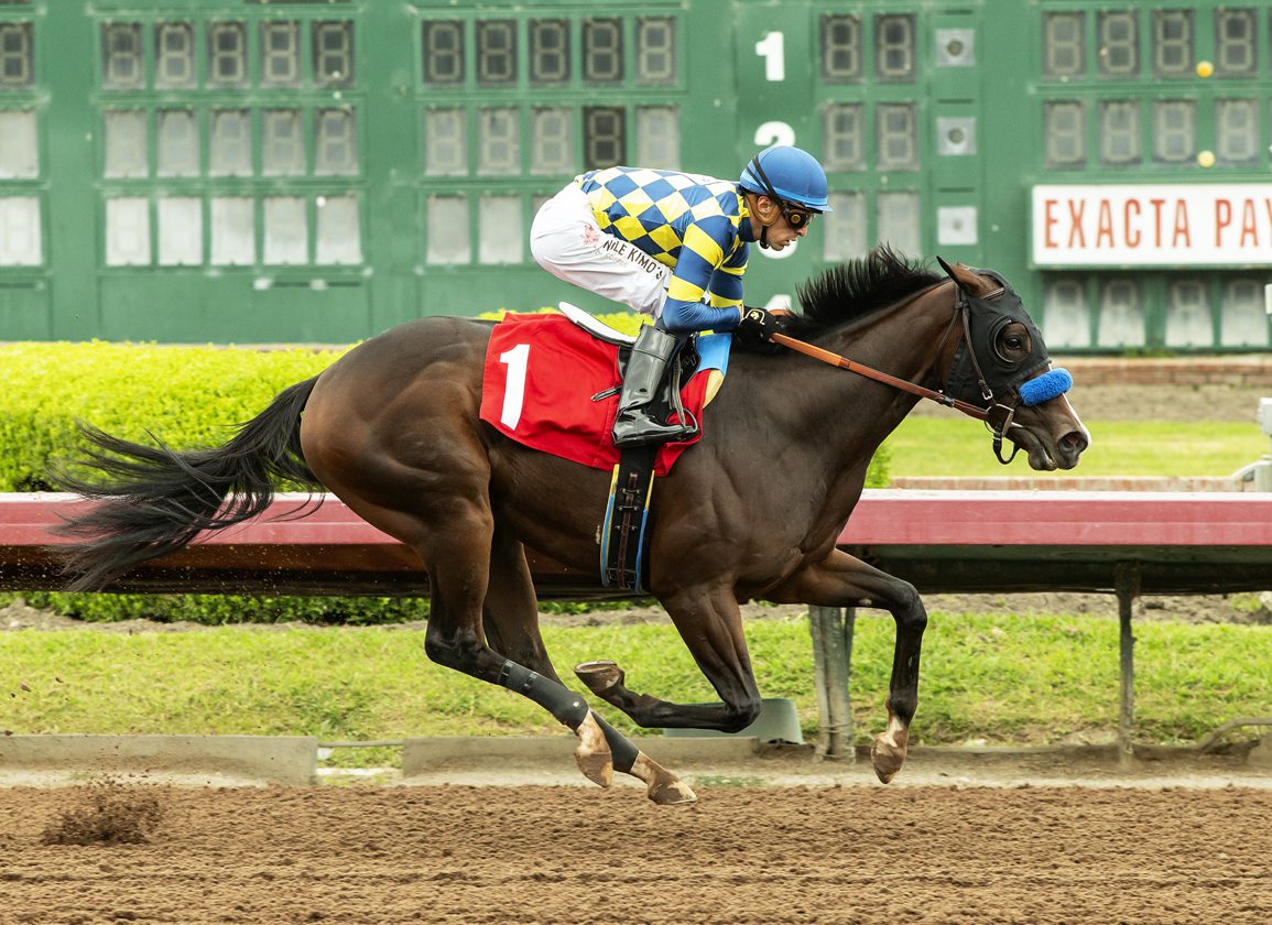 Tiz The Law Filly Powers To First Out Win At Los Alamitos