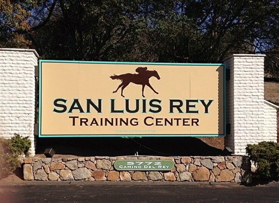 Peter Miller's San Luis Rey Barn Under Equine Herpes Virus Quarantine