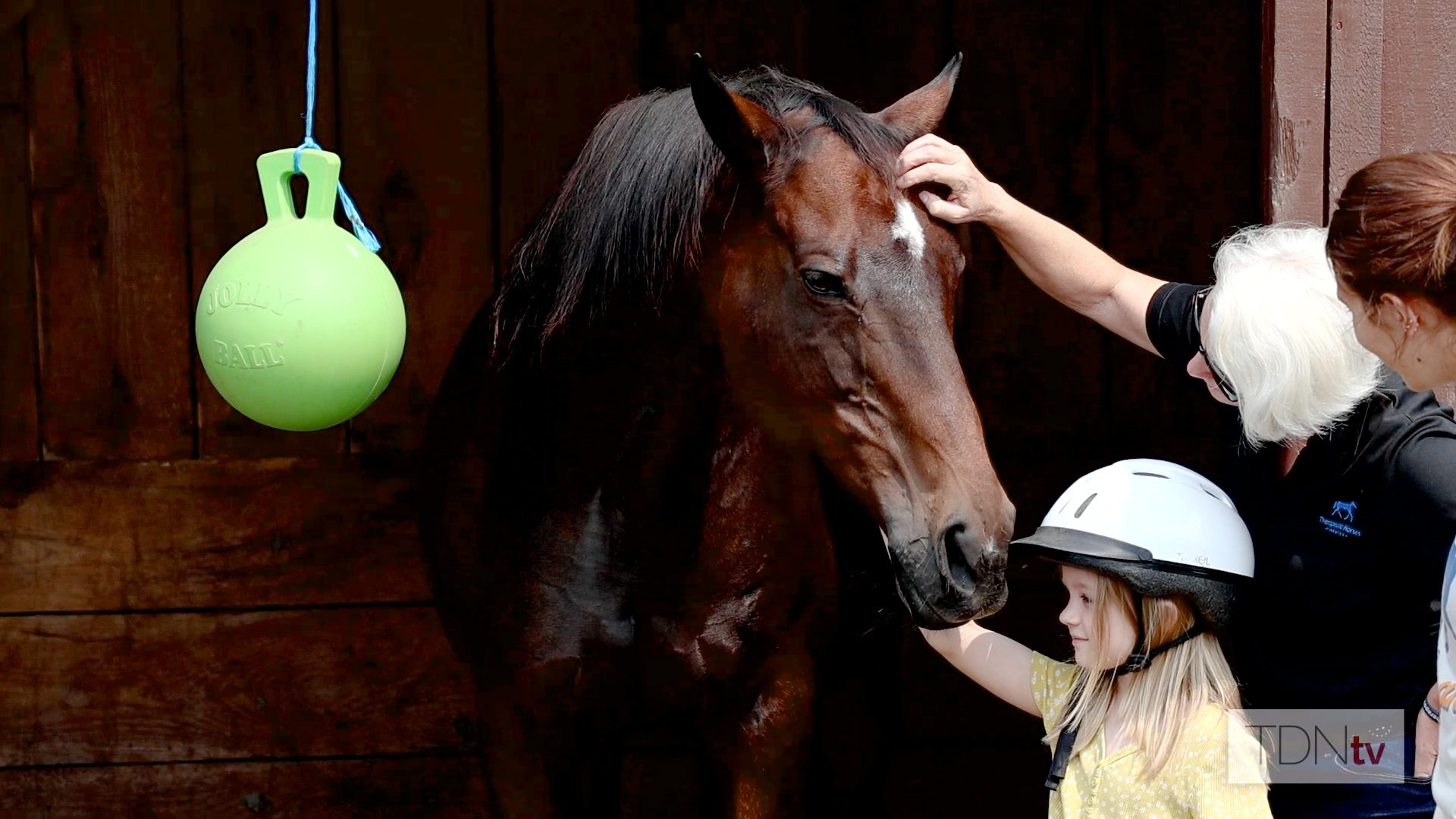 Therapeutic Horses of Saratoga: A Haven for Both Humans and Retired Racehorses