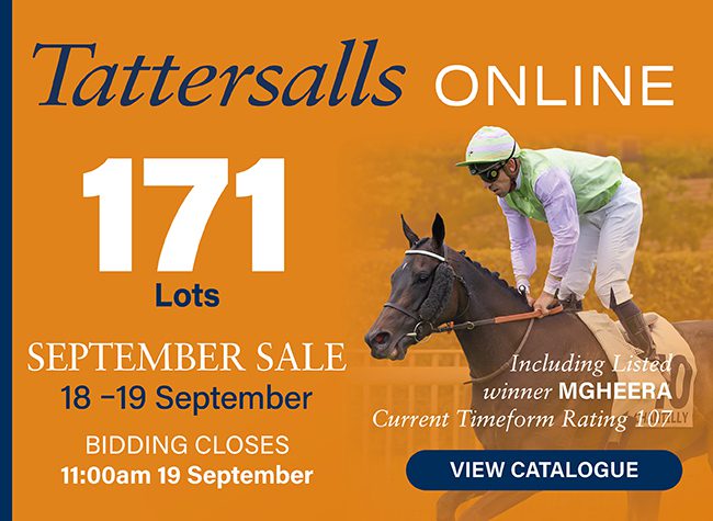 Tattersalls Online interstitial – 9/13/24