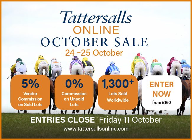 Tattersalls Online interstitial – 9/27/24