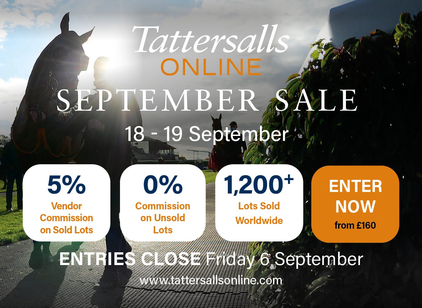 Tattersalls Online interstitial 9-6-24 (September Sale)