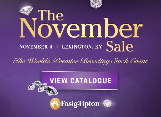 Fasig Tipton Nov Sale 10/29/24