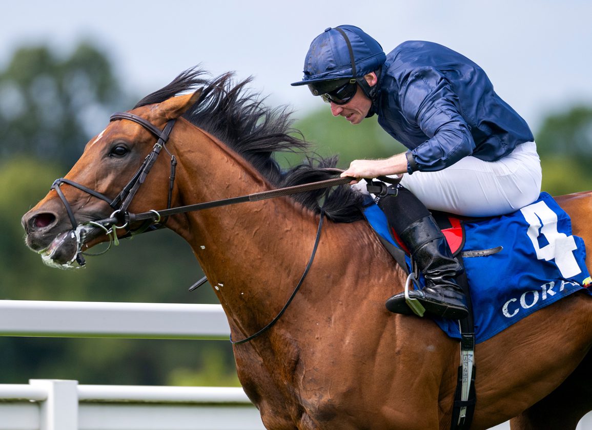 “Amazing” City Of Troy To Stand At Coolmore Ireland After Breeders’ Cup Tilt