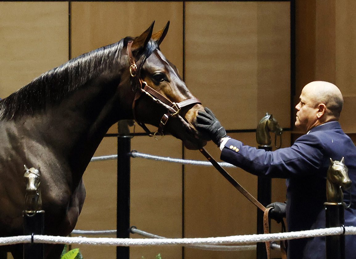 'A Very Satisfactory Day': $350,000 Colts Share Top Billing at Fasig-Tipton October Opener