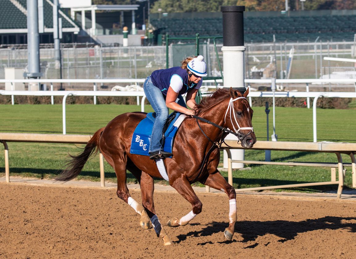 Breeders' Cup Connections: Katie Tolbert and Highland Falls