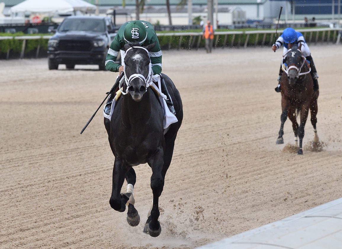 Week In Review: Vinnie Viola's Unlikely Derby Contender