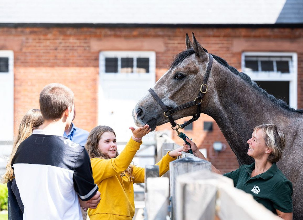 Gold Award For National Horse Racing Museum