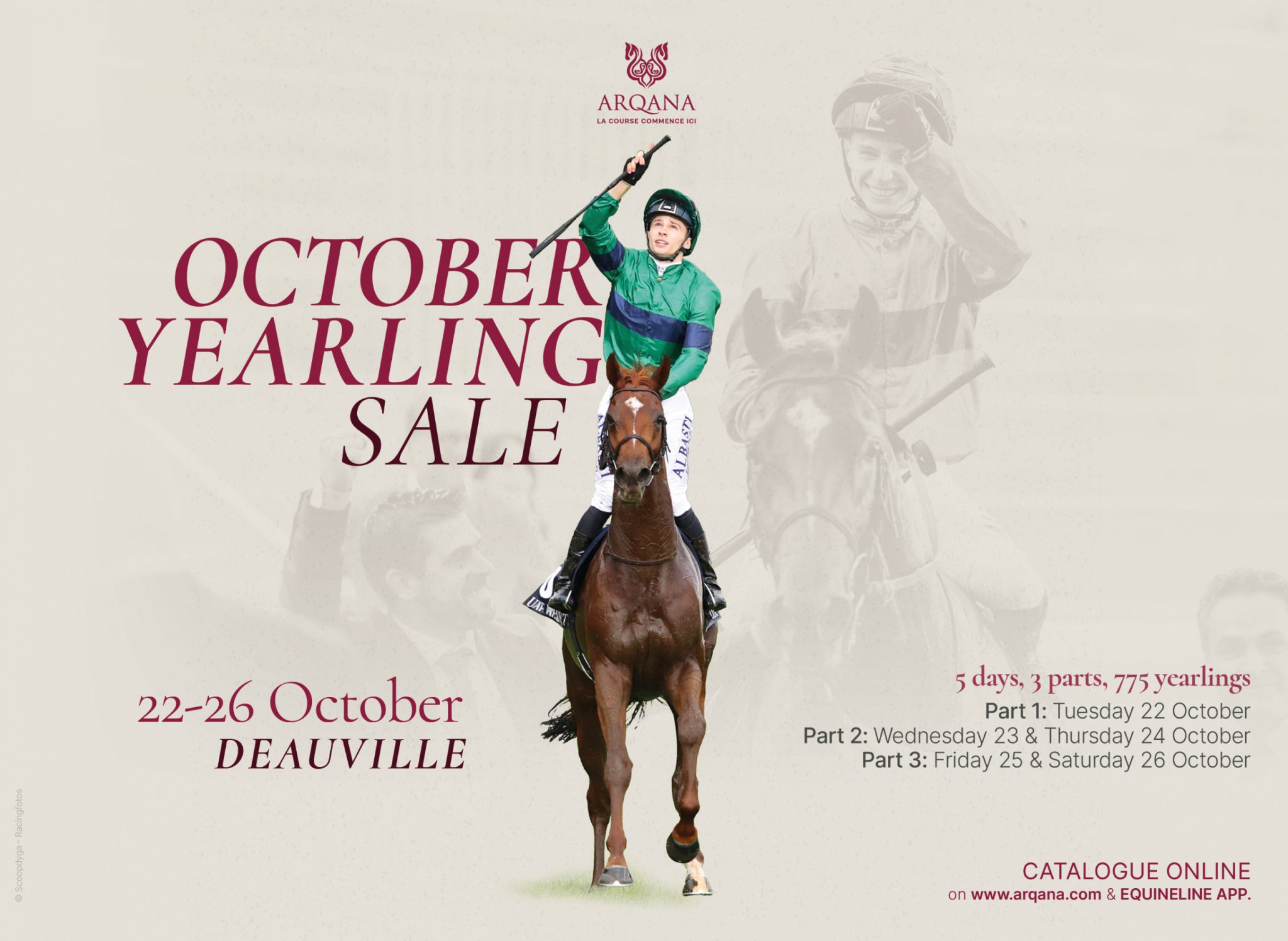 Arqana Interstitial 10-19-24