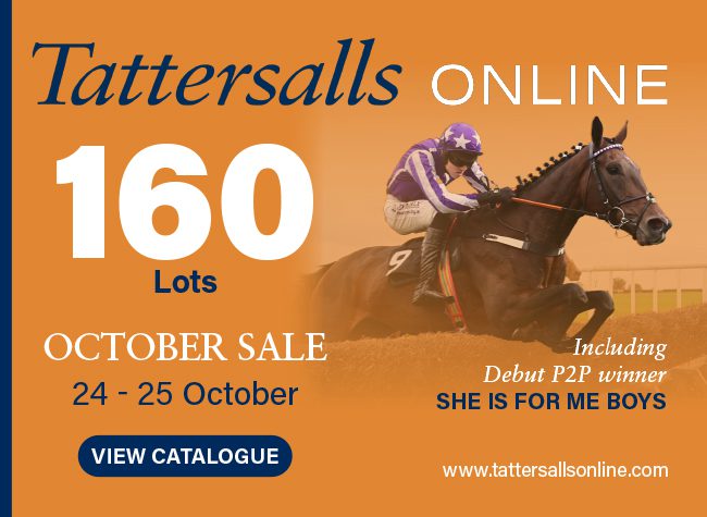 Tattersalls Online interstitial – 10/21/24