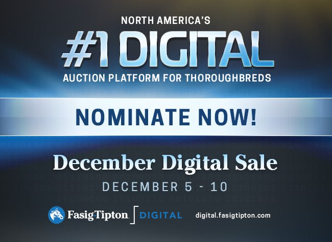 Fasig Tipton (Dec Digital Sale) 11/5/24