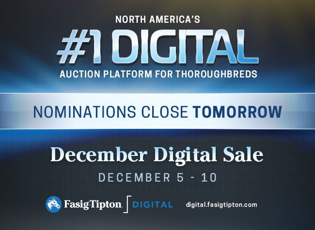 Fasig-Tipton interstitial 11-19-24