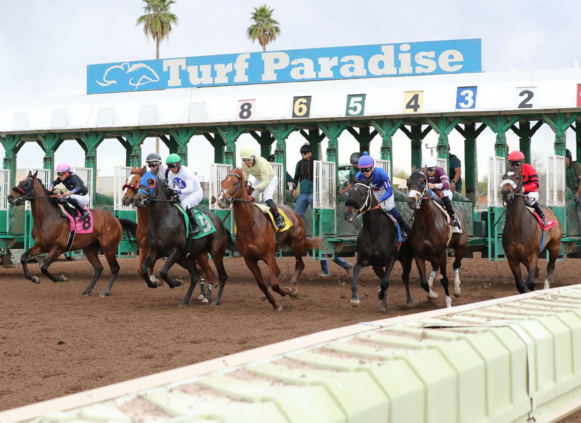 After Track Woes Delay Meet, Turf Paradise’s First Week Of Racing Reported As Safe