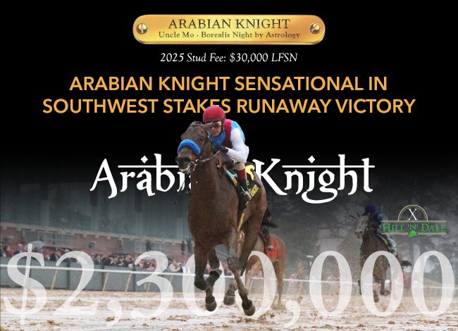 Hill ‘n’ Dale interstitial (Arabian Knight) 11-14-24