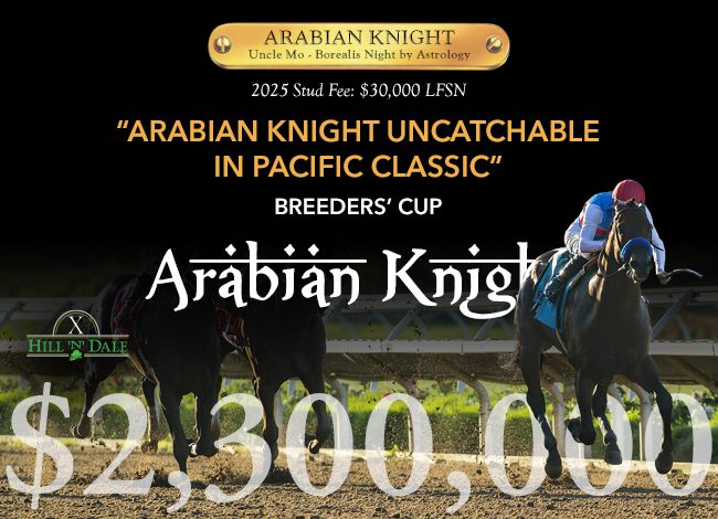 Hill 'n' Dale interstitial (Arabian Knight) – 11/21/24