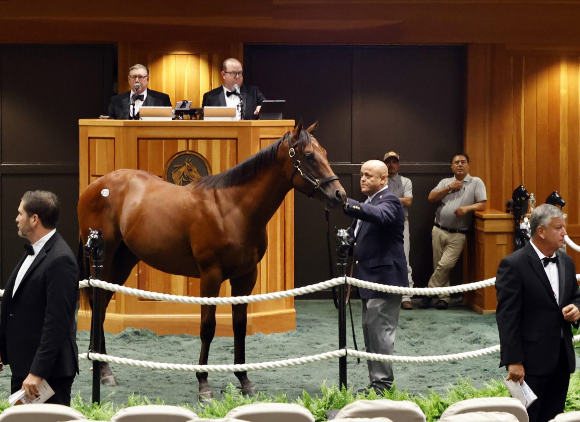 Baffert's First Churchill Starter Since Lifting Of 3-year Ban Will Be $3.2m Colt Owned By Zedan