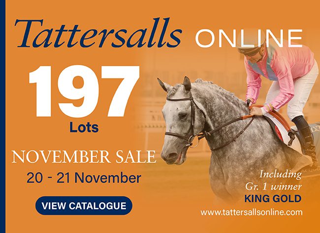 Tattersalls Online interstitial 11-18-24