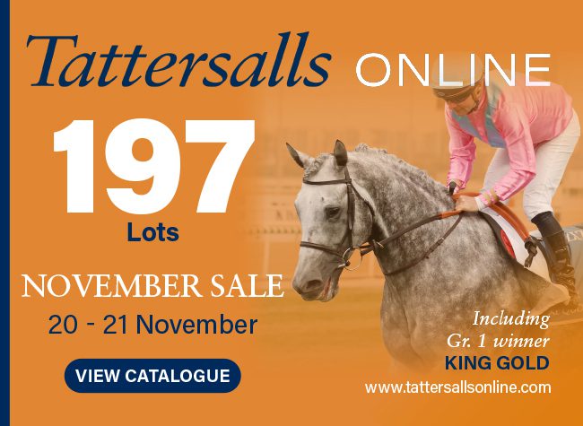 Tattersalls Online 11-20-24