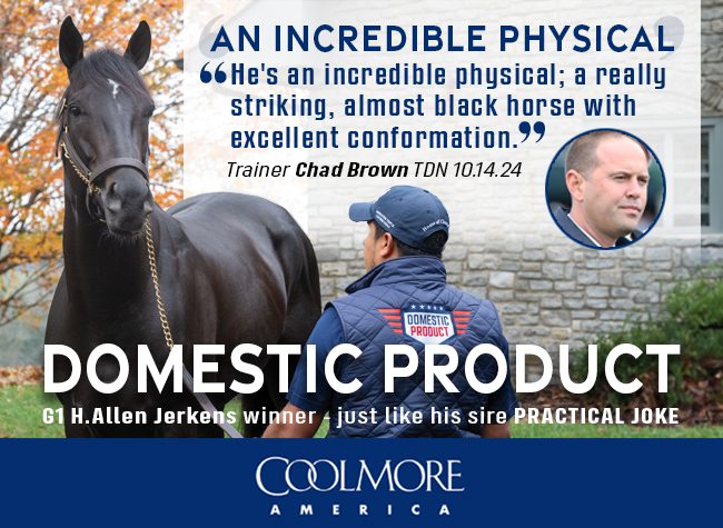 Coolmore (Domestic Product) 01-01-25