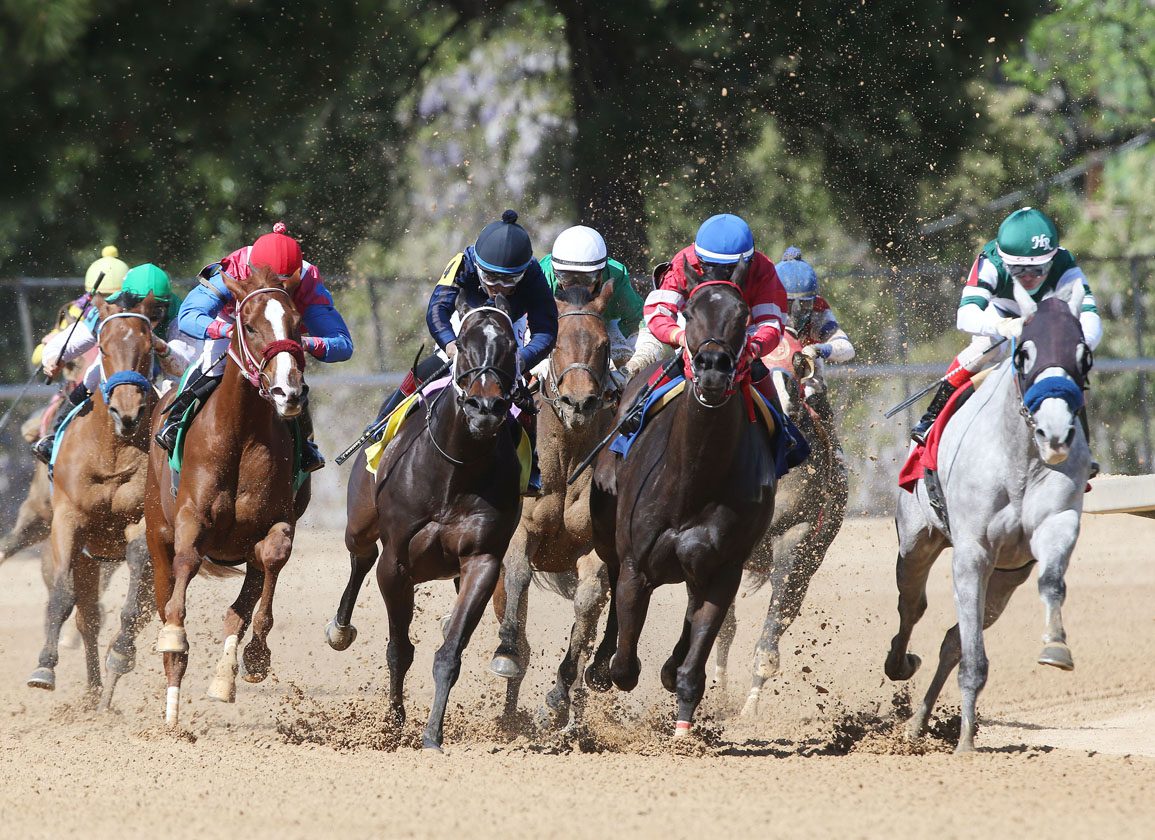 https://www.thoroughbreddailynews.com/wp-content/uploads/2024/12/Oaklawn_OP-Scenics-040821-007-racing-dirt-turn_PRINT_Coady.jpg