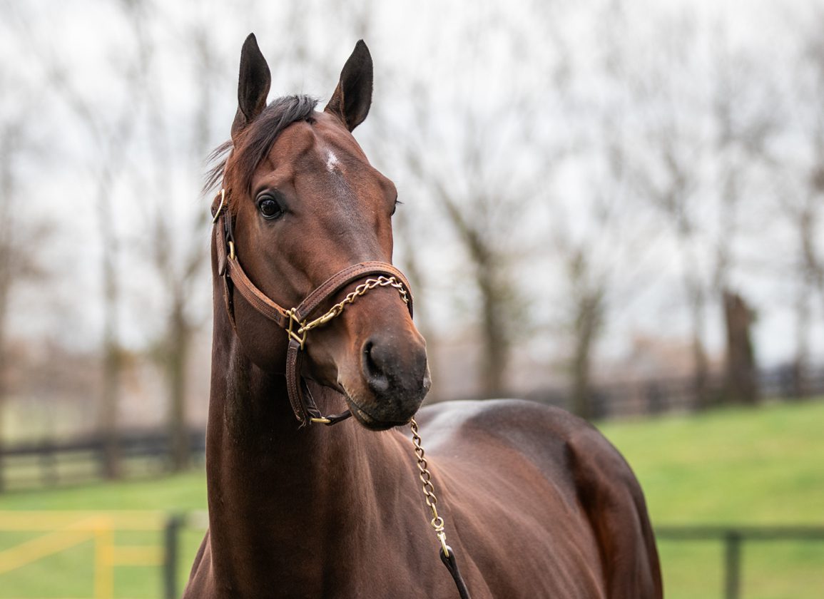 Claiborne Welcomes Prince of Monaco and Bright Future