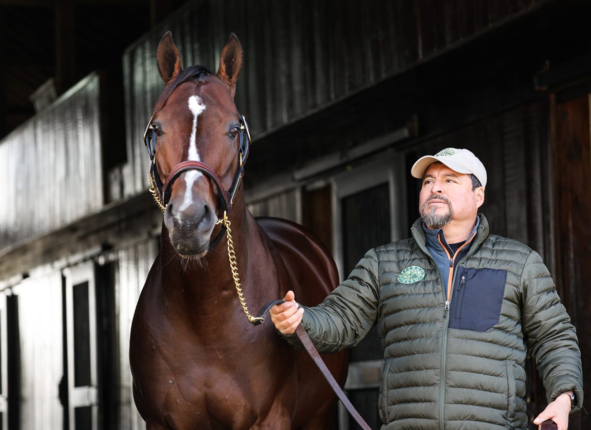 Meet Justify's Half-Brother Stage Raider at Crestwood Farm