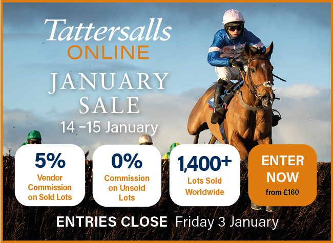 Tattersalls Online interstitial 12-20-24