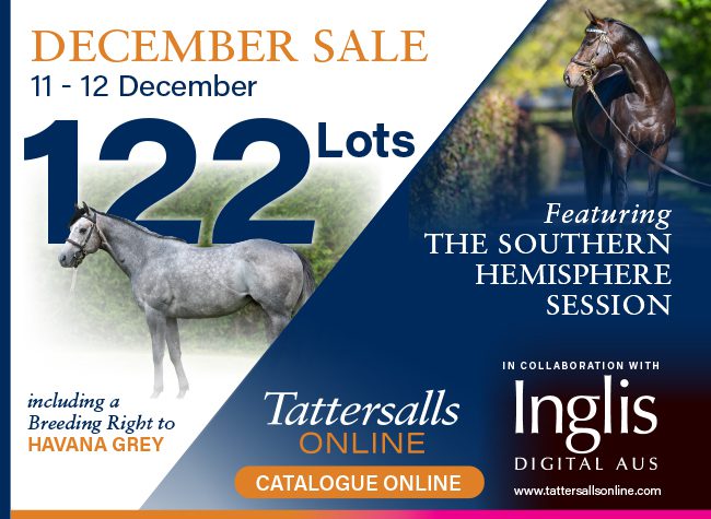 Tattersalls Online interstitial (Dec. Sale) 12-06-24