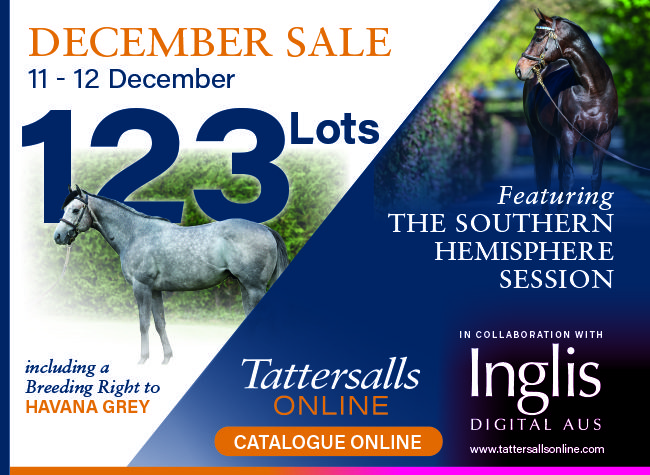 Tattersalls Online – 12-9-24 – December Sale