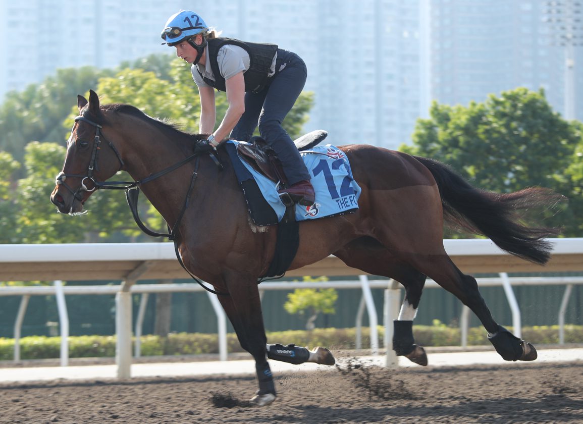 https://www.thoroughbreddailynews.com/wp-content/uploads/2024/12/The-Foxes-Tuesday-Trackwork-HK_PRINT_HKJC.jpg