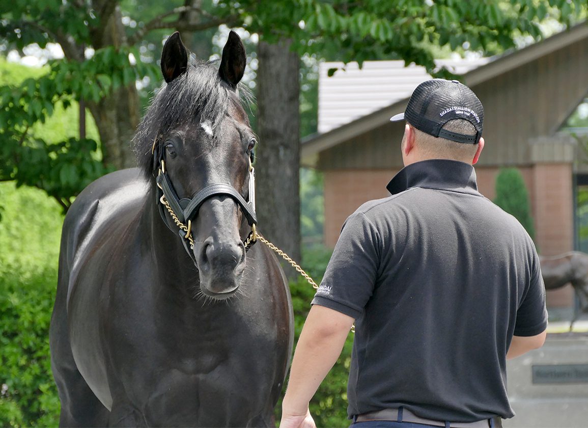 Kizuna Emulates Sire Deep Impact with First Championship