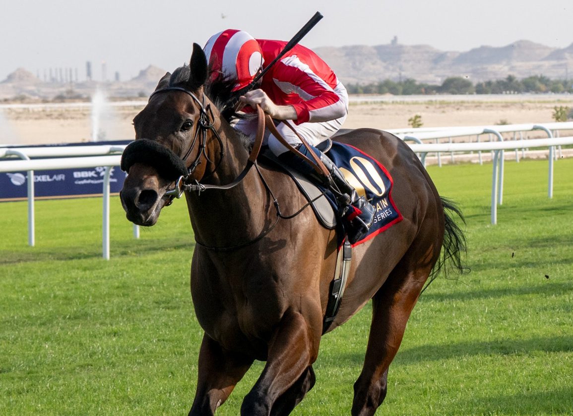 Rocket Rodney Bids to Repeat 2024 Win as Bahrain Turf Series Continues