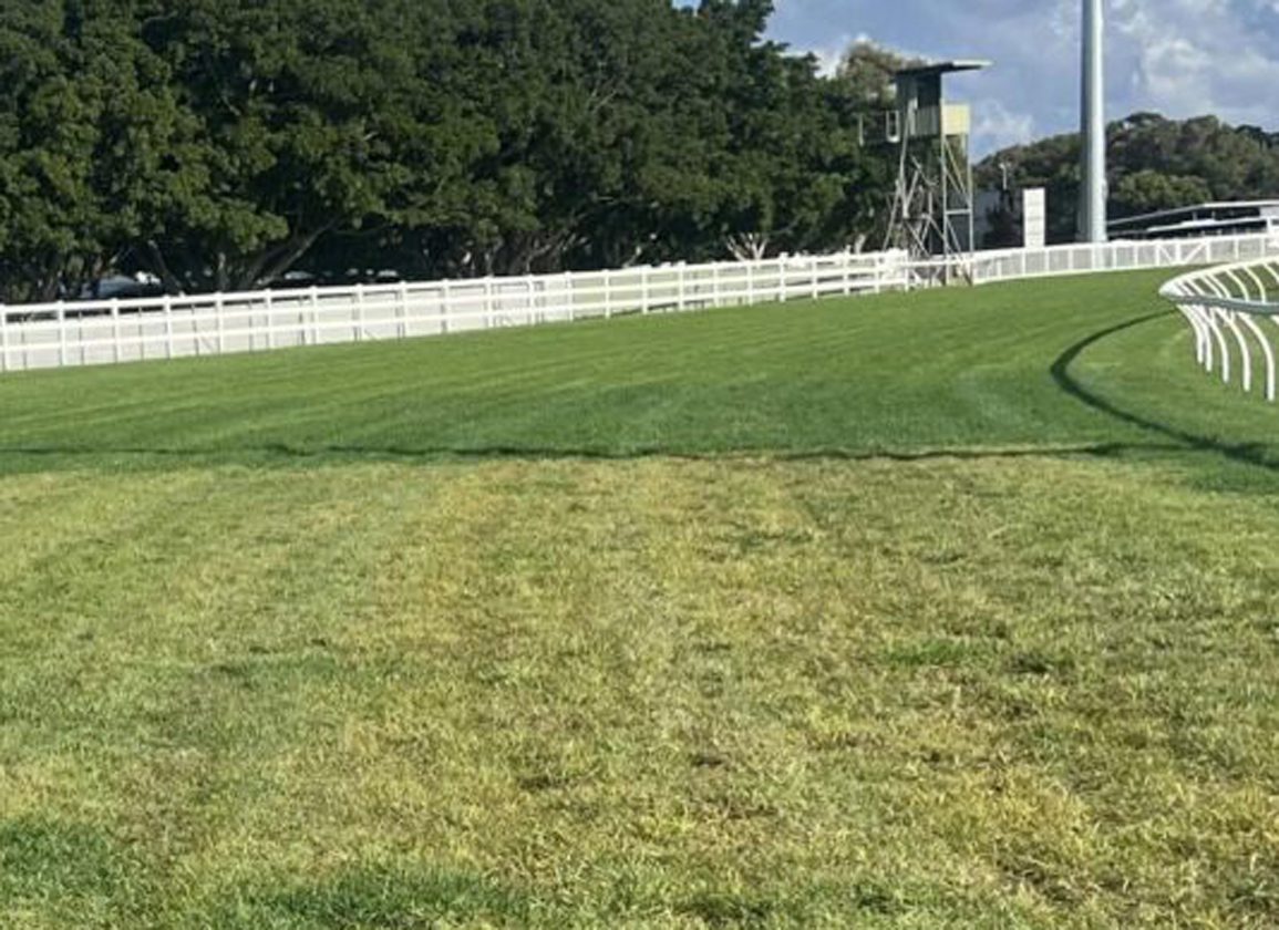 Potential Sabotage? Gold Coast Meeting Switches To Sunshine Coast After Track Poisoning